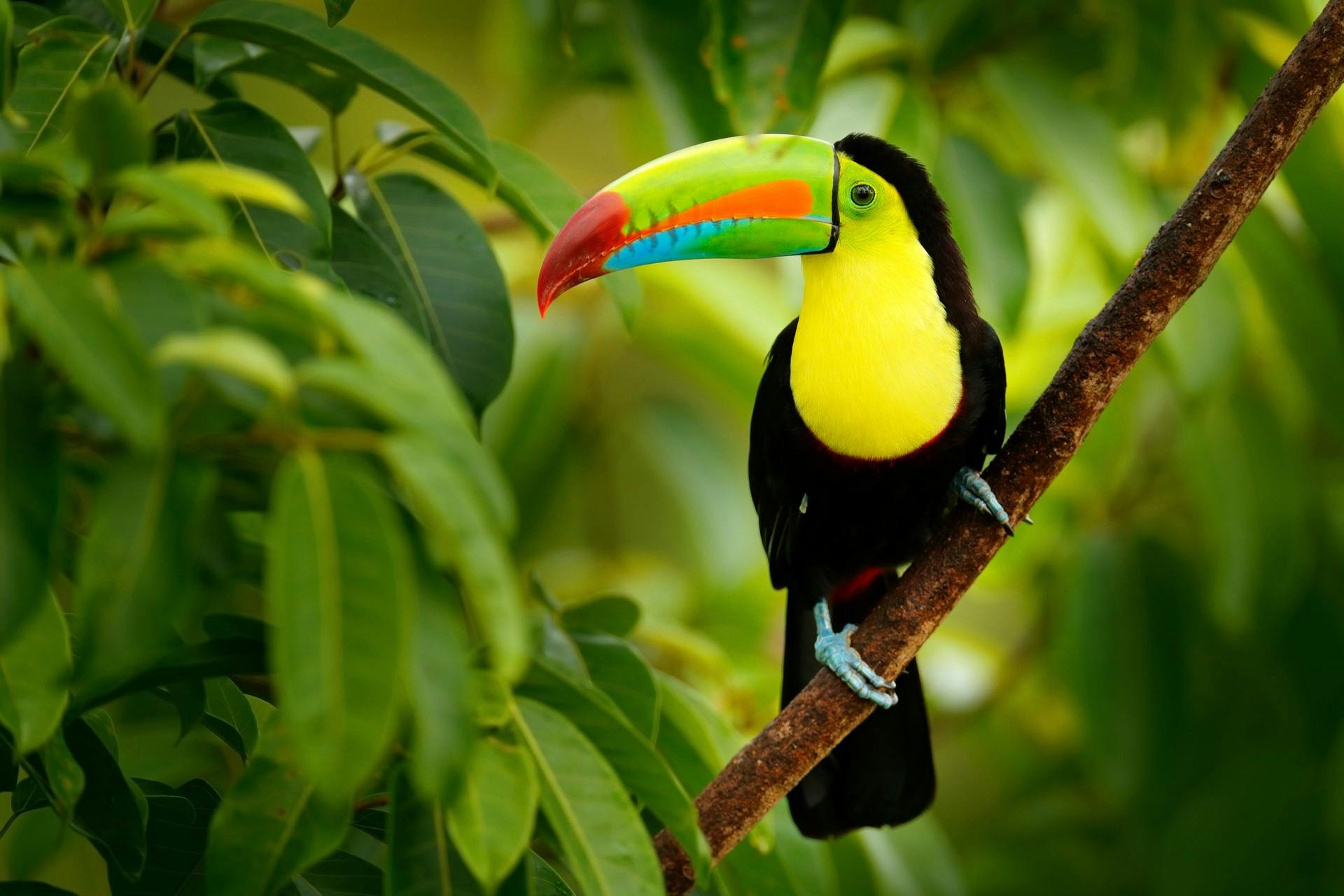 Besuchen Sie Costa Rica