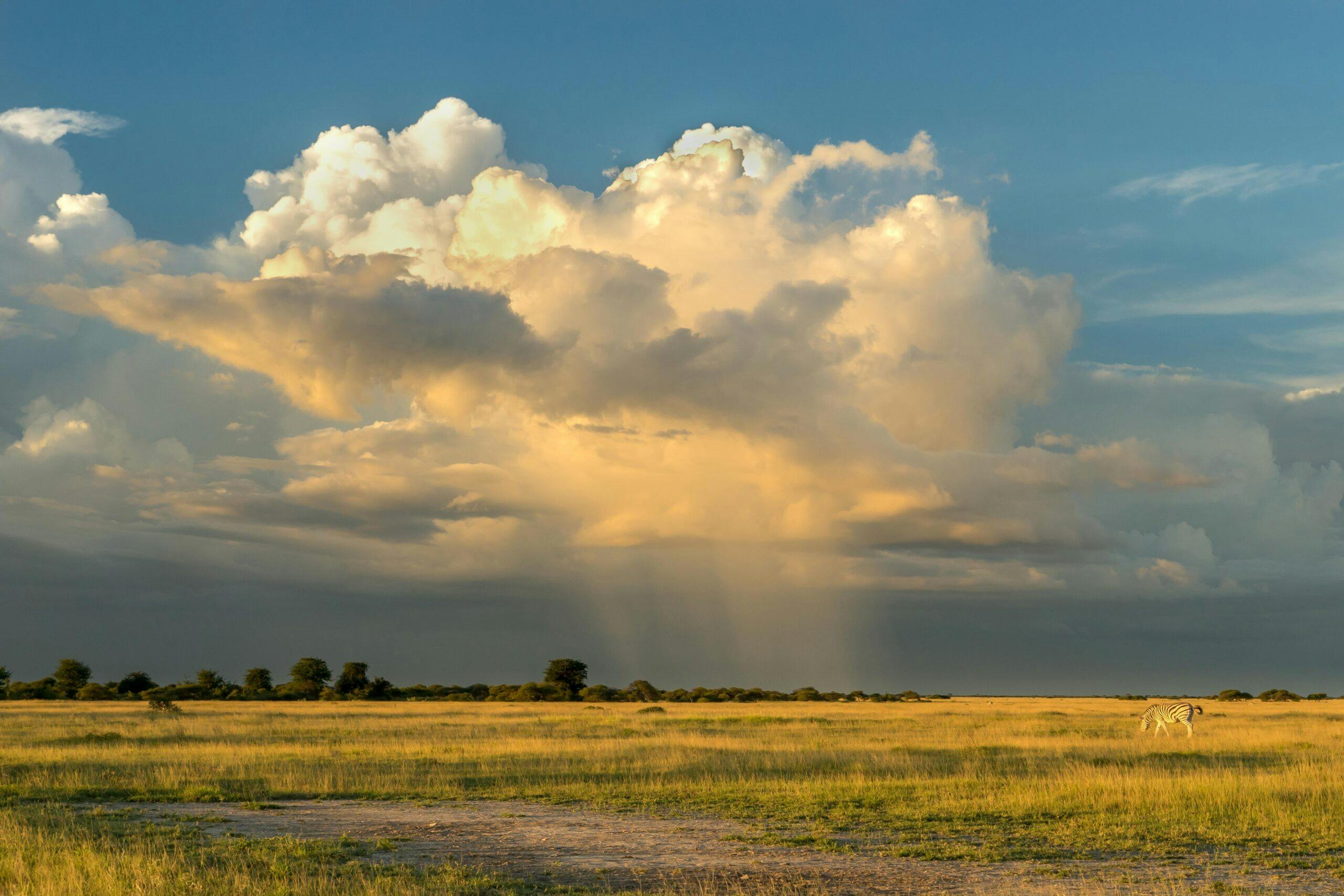 Wir definieren faireres Reisen nach Botswana