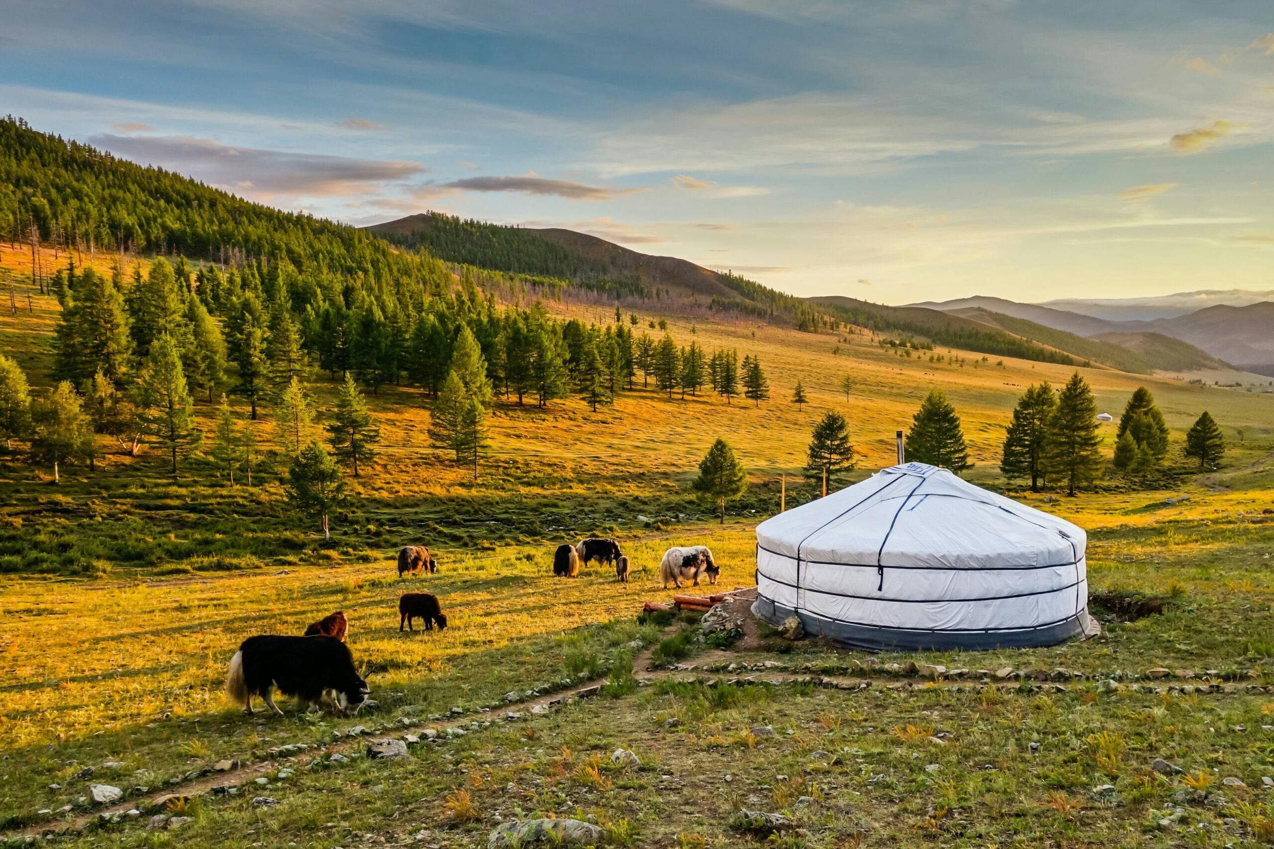 Visit Mongolia