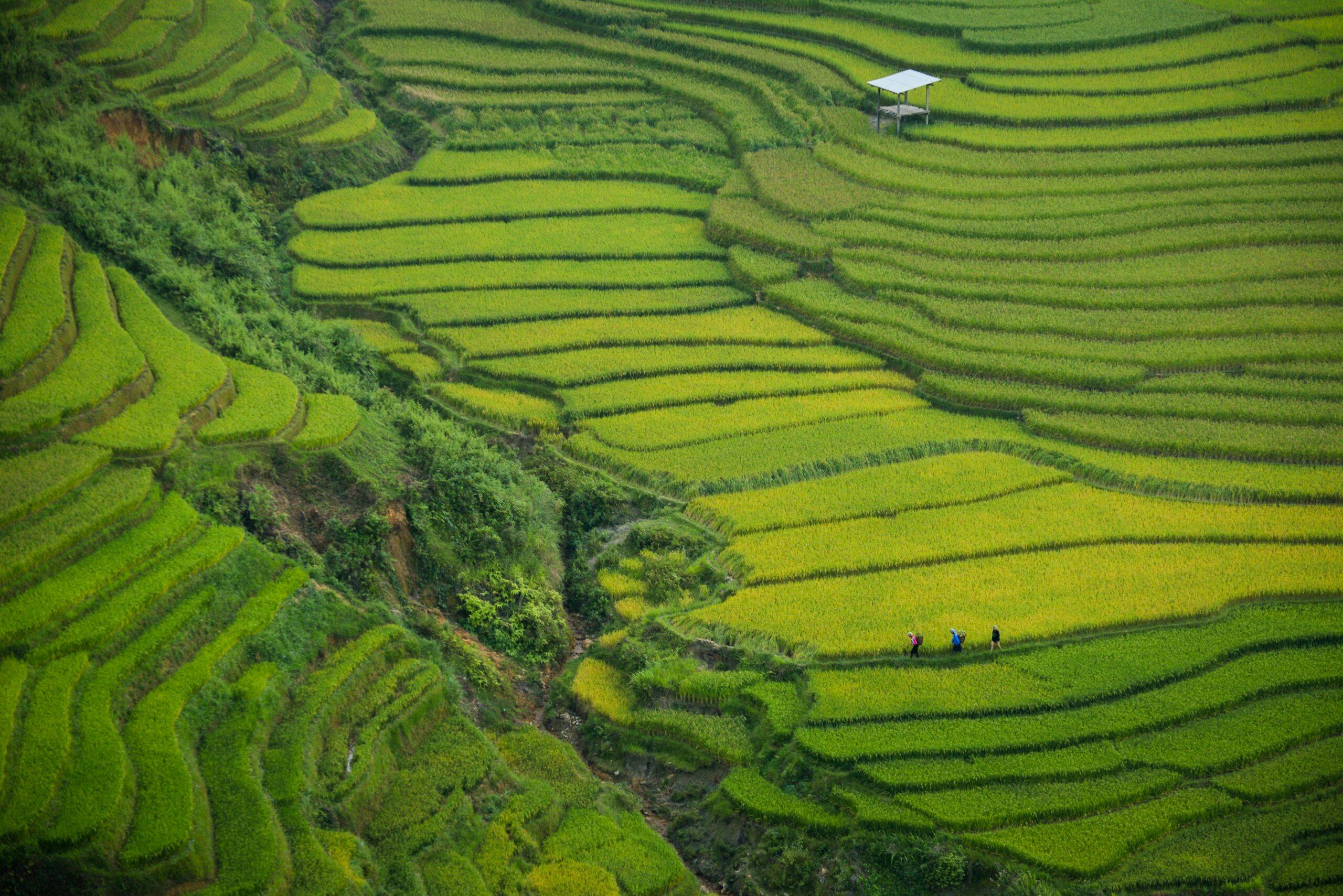 Wir definieren faireres Reisen nach Vietnam