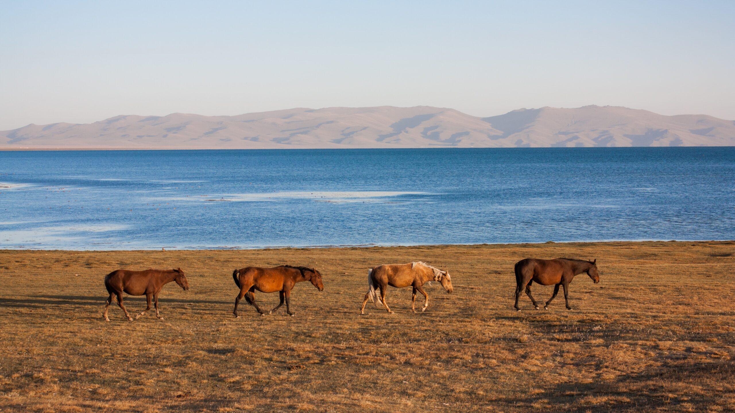 Visit Kyrgyzstan