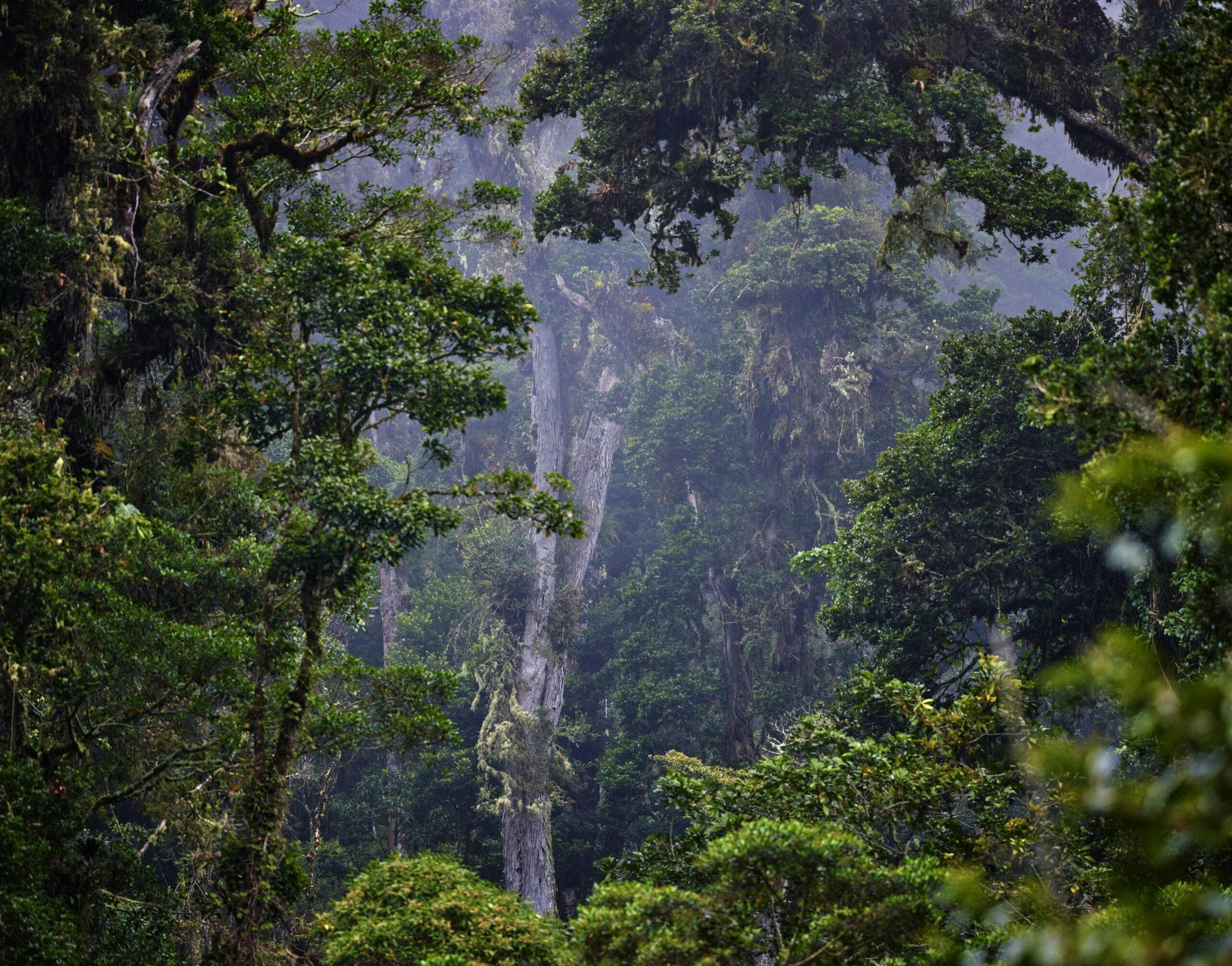 Wir definieren faireres Reisen nach Panama